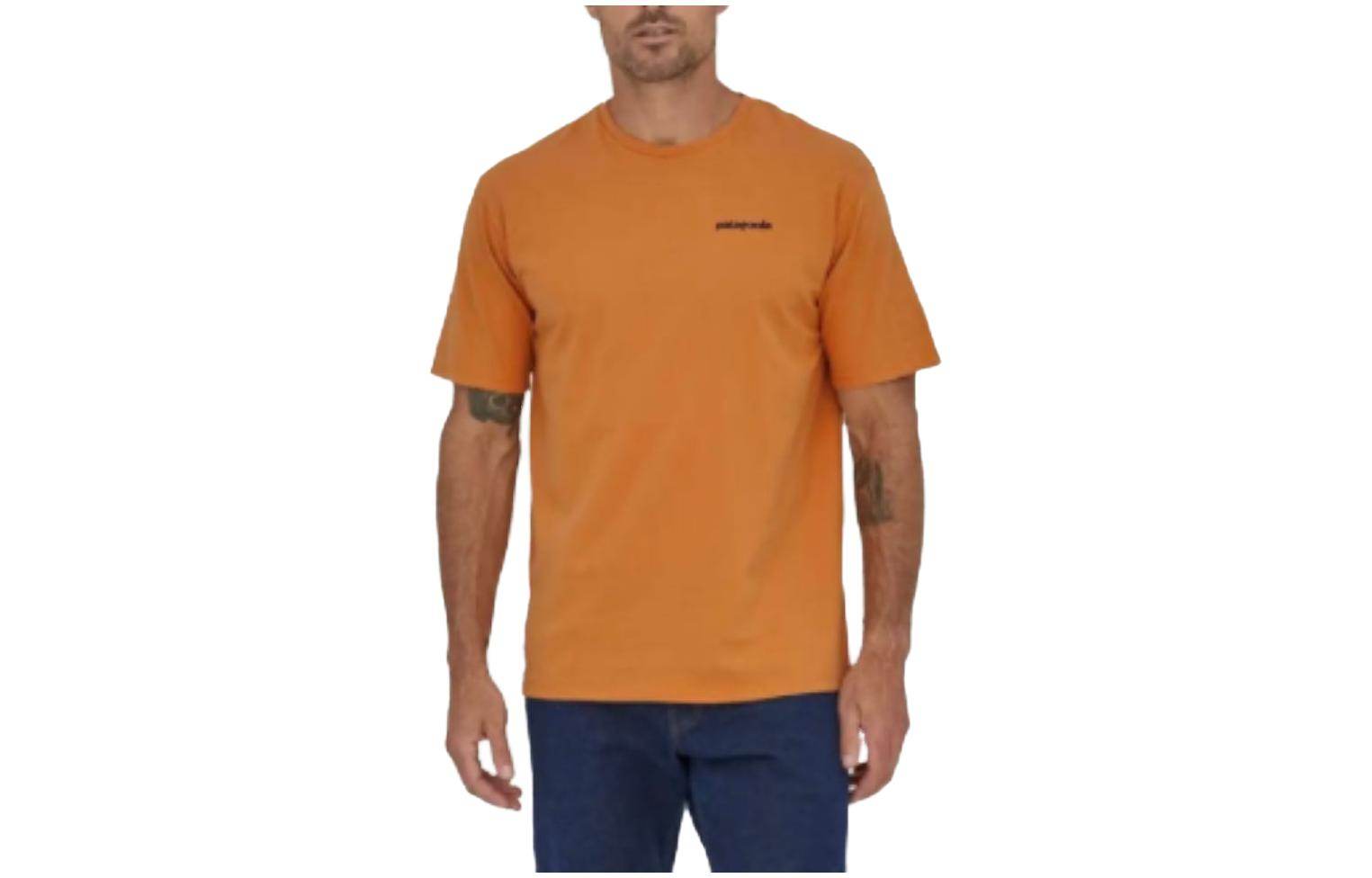 Футболка мужская Patagonia P-6 Mission - Boxette Shop